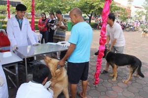 IMG_0120